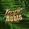 RTP 99,00 % | Tropic Reels jeu jackpot – Gagnez des millions !