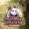 RTP 97,78 % | White Rabbit Megaways jeu jackpot – Gagnez des millions !